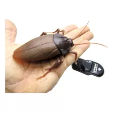 Barata Gigante De Controle Remoto Sem Fio Giant Roach Cor Marrom