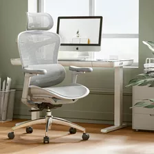 Sihoo Doro C300 - Silla De Oficina Ergonómica Con Reposabr.