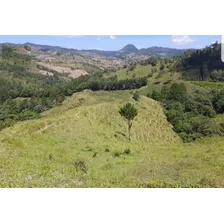 Finca De 537 Tareas Con Rio Y Cañada En Jarabacoa Para Proyecto Residencial O Proyecto Ganadero 