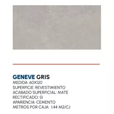 Arg Porcelanato Geneve Gris Y Sombre Mate Rectifica 60x1.20