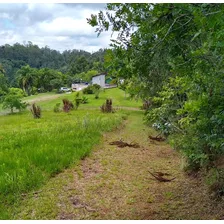 Oportunidade, Chácara Maravilhosa Localizada Próxima A Curitiba/pr