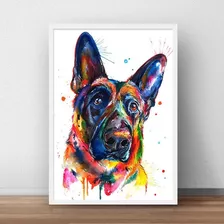 Quadro Cachorro Pastor Alemão Colorido Moldura E Vidro A3