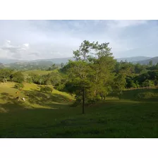 Vendo Finca De 20 Tareas De Tierra, En Altura De Jarabacoa 