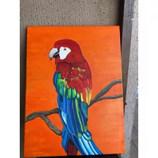 Cuadro De Pintura Sobre Guacamaya Roja