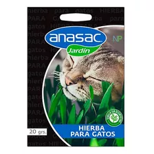 Semillas Hierba Gatera 20gr Np