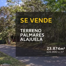 Venta De Terreno - Palmares, Alajuela