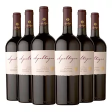 6 Vinos Apaltagua Reserva Carmenere