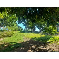 Finca En Venta Autopista Duarte (jpc-232)