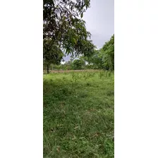 Te Vendo Excelente Finca En El Cupey De Puerto Plata 