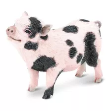 Cerdo Barrigón Coleccionable