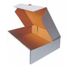 100 Cajas De Cartón 22x16.5x5.5 Cm Para Envíos O Alimentos 