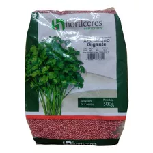 Semente De Coentro Americano Gigante 500g - Horticeres