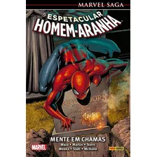 O Espetacular Homem-aranha - Volume 19: O Espetacular Homem-aranha - Volume 19, De Slott, Dan., Vol. Não Aplica. Editora Panini, Capa Mole Em Português