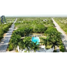 Terreno En Venta En Residencial Phúla Dzidzilché, Yucatán. C