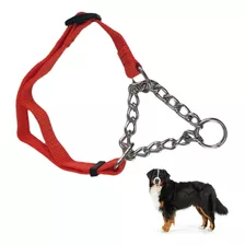 Coleira Nylon Guia 2.5cm Aço Elo Torcido Enforcador Cachorro