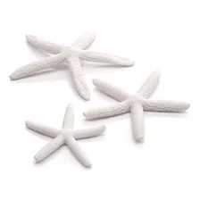 Biorb 461340 Starfish Set 3 Color Blanco Acuarios