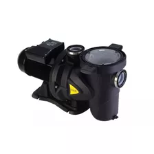 Bomba Autocebante Para Pileta Grundfos/dab Euroswim 50 0.5hp