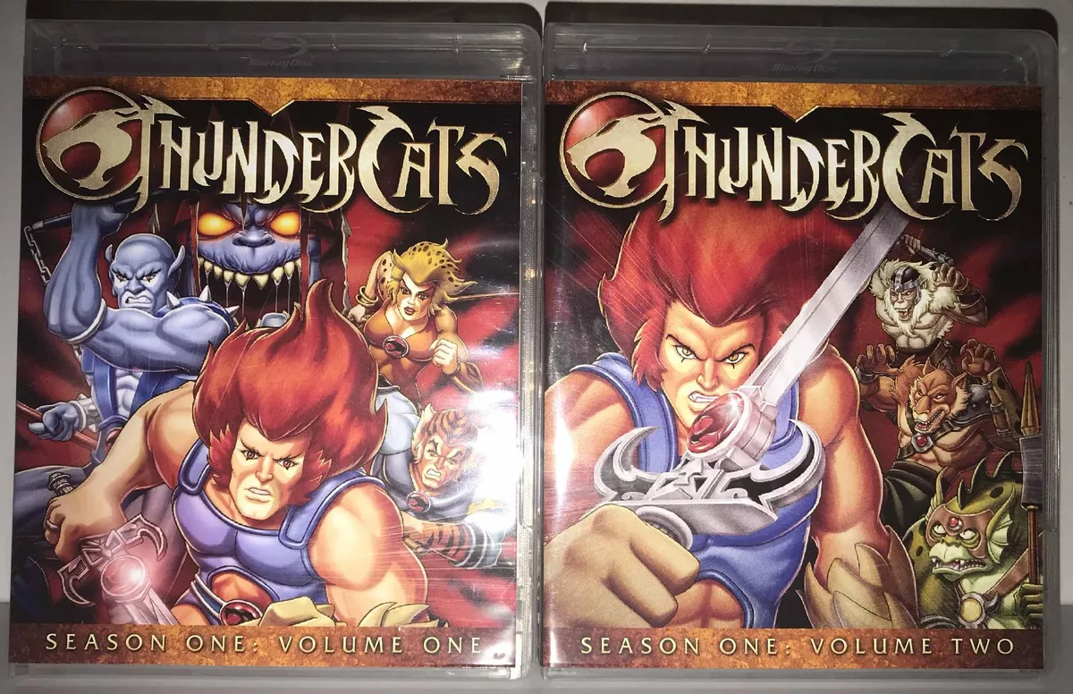 Thundercats Coleccion Dvd (24 Discos)