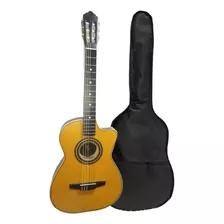 Guitarra Acústica Con Curva Con Funda Reforzada 