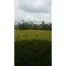 Te Vendo Finca En Los Llanos De Monte Plata,