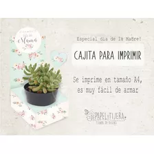 Cajita Imprimible