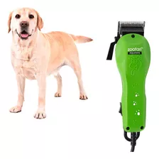 Cortadora De Pelo Profesional Para Perros