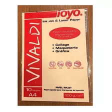 Hojas De Papel Presentacion Vivaldi Toyo X 10 120g Salmon