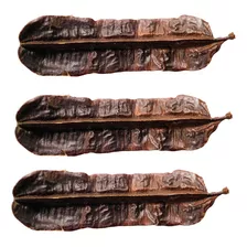 3 Fava De Aridan Africana Original Para Rituais Religiosos