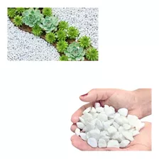 Pedrinha Branca Dolomita Ovo N 1 Vaso Jardim Aquário 1kg Cor Branco Granulometria Mínima 2 Cm