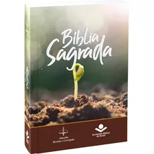 Kit 15 Bíblia Sagrada Almeida Revista E Corrigida