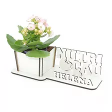 5 Porta Flores Display Personalizado Mdf Branco Nutrição