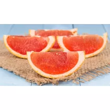 Toranja Ou Grapefruit Gigante Sementes P/ Mudas 