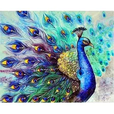 Bordado Pintura Diamante - Pavo Real 30x40 Punto Cruz