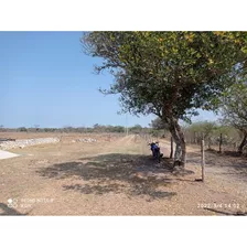 Rancho En Venta Rincón Del Copite