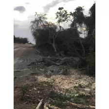 Vendo Terreno De 257 Tareas De Tierras En Manzanillo Rd