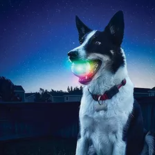 Nite Ize Glowstreak Led Dog Ball, Bounce-activated Light Up 