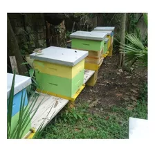 15 Colmenas De Abejas, Miel De Abeja, Polen, Propóleo