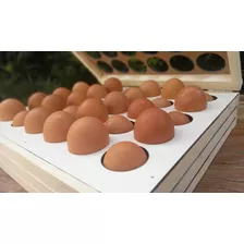 Classificadora Separadora De Ovos - Para 30 Ovos - Madeira