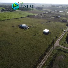 Vendo Chacra Con 2 Casas Para Entrar +3hectareas De Campo En San Bautista Metros Ruta 81