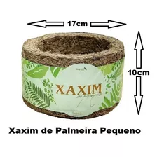 Vaso Xaxim De Palmeira Pequeno Orquídeas Bromélias Samambaia