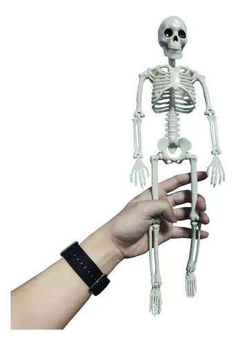 Esqueleto Humano Esboço Médico Aprendizagem Anatomiamedicina