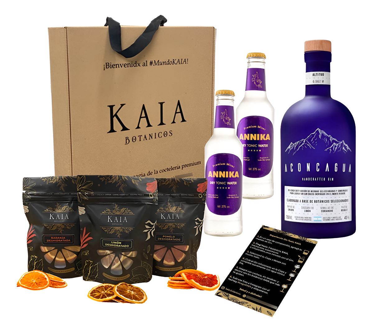 Kit Gin Aconcagua Botanicos Citricos Kaia Tónica Annika