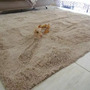 Tercera imagen para búsqueda de alfombras living modernas
