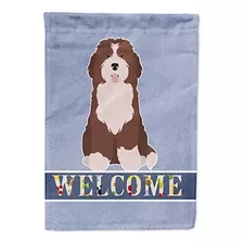 Carolines Treasures Ck3792gf Bernedoodle 2 Bandera De Jardín