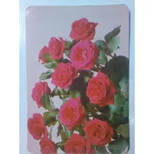 Calendário De Bolso 1996 Flores Vermelhas Petisco Da Barra