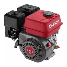 Motor A Gasolina 15hp Branco B4t-15.0h Partida Manual 4t