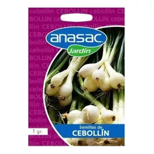 Semillas Cebollin 1 Gr - Anasac 