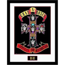 Cuadro De Colección Guns N Roses - Appetite For Destruction