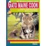 Primera imagen para búsqueda de gato maine coon