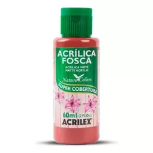 Tinta Acrílica Fosca Acrilex Para Artesanato 60ml - Cores Cor Marrom